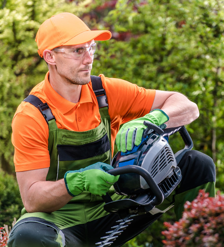 Man Holding Hedge Trimmer Man Holding Hedge Trimmer